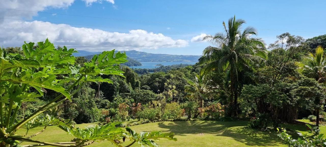 Hotel La Rana De Arenal Nuevo Arenal Eksteriør bilde