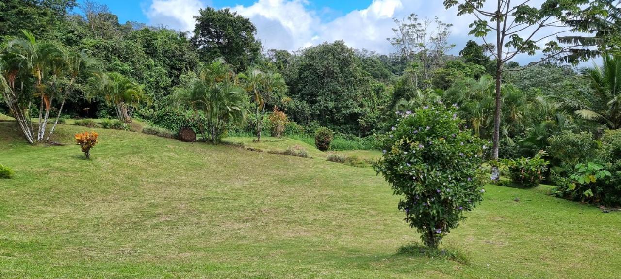 Hotel La Rana De Arenal Nuevo Arenal Eksteriør bilde