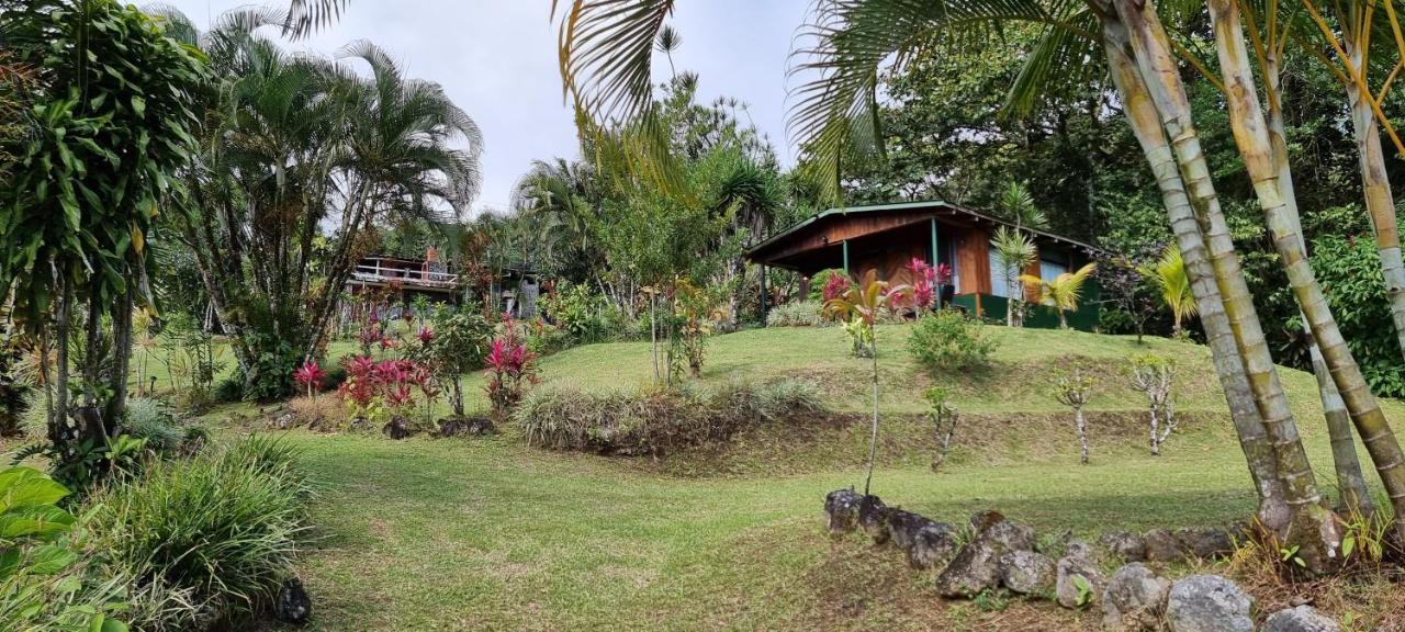 Hotel La Rana De Arenal Nuevo Arenal Eksteriør bilde