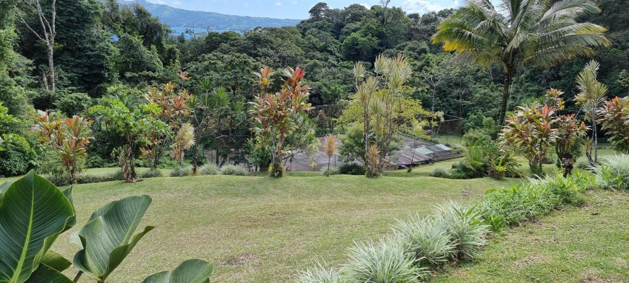 Hotel La Rana De Arenal Nuevo Arenal Eksteriør bilde