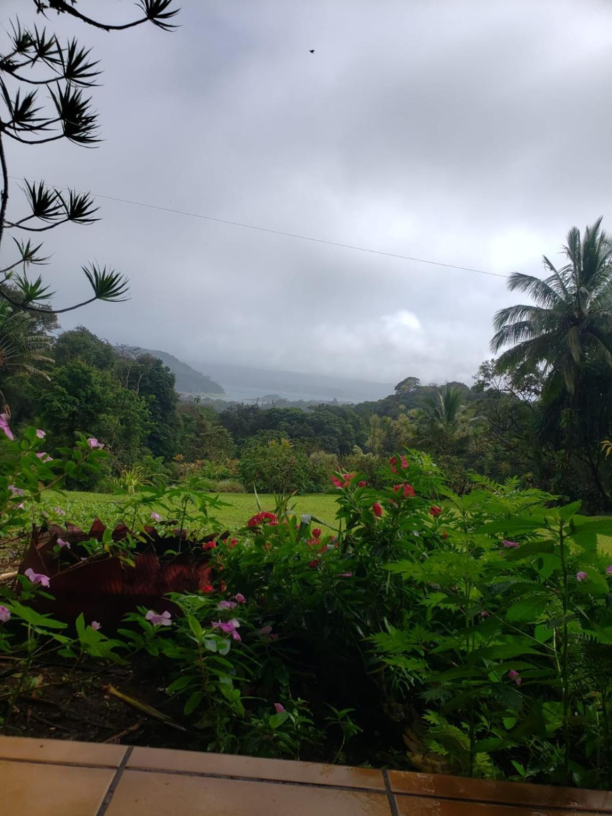 Hotel La Rana De Arenal Nuevo Arenal Eksteriør bilde