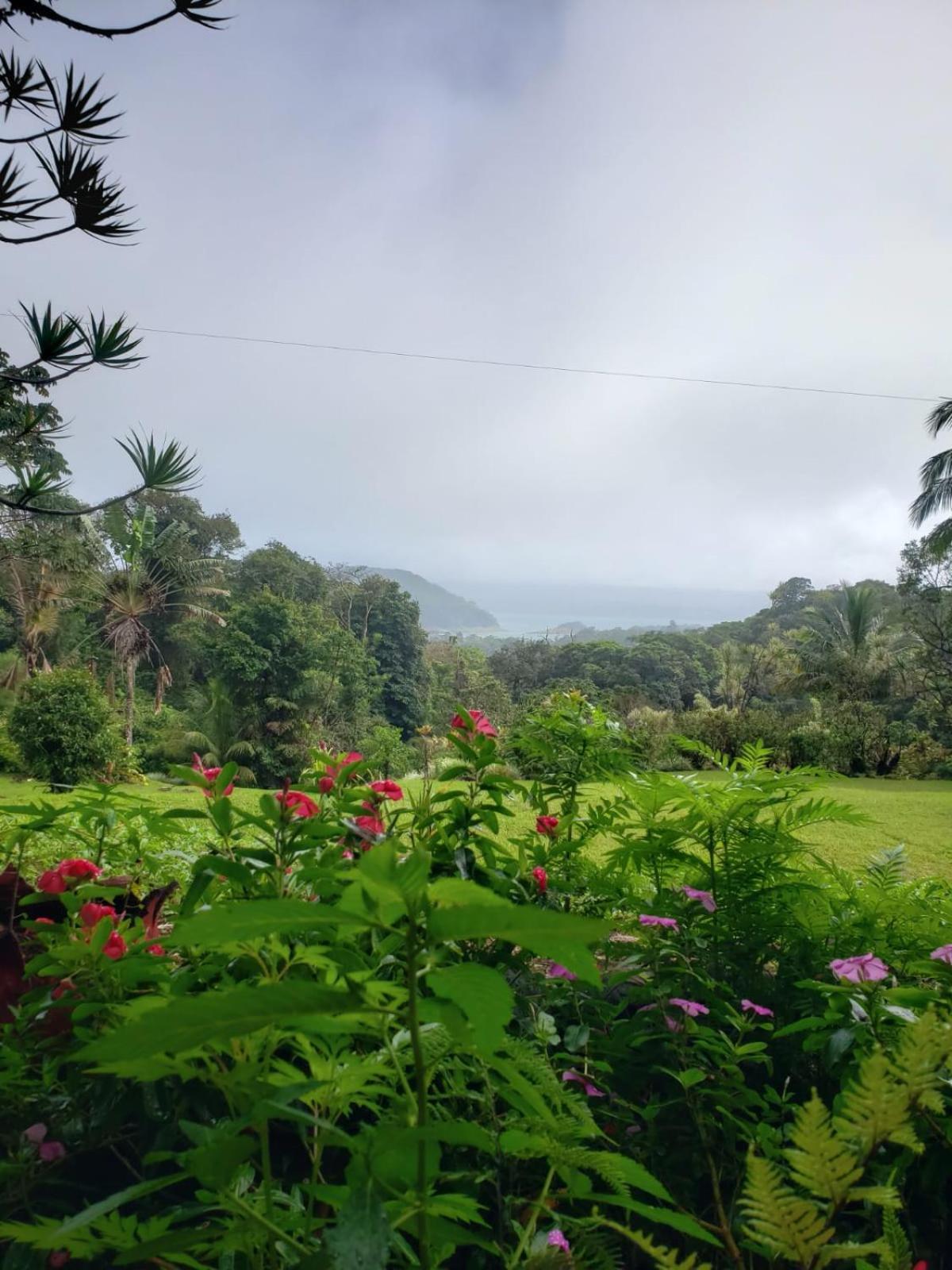 Hotel La Rana De Arenal Nuevo Arenal Eksteriør bilde