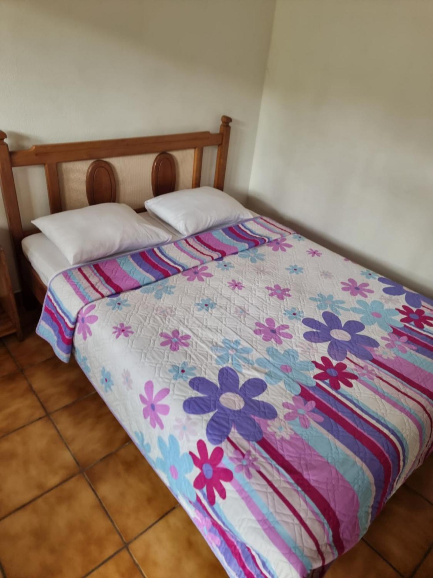 Hotel La Rana De Arenal Nuevo Arenal Eksteriør bilde