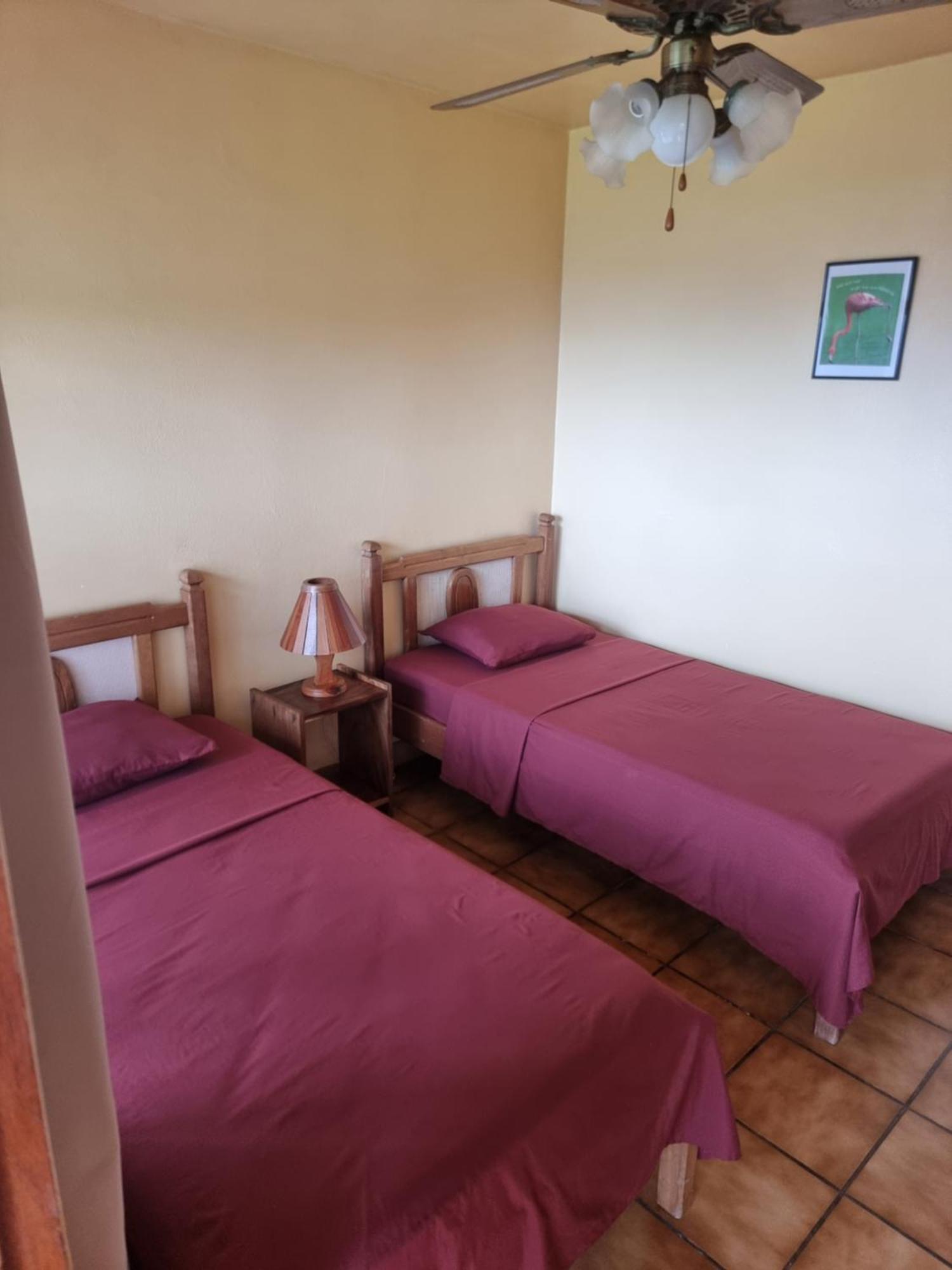 Hotel La Rana De Arenal Nuevo Arenal Eksteriør bilde
