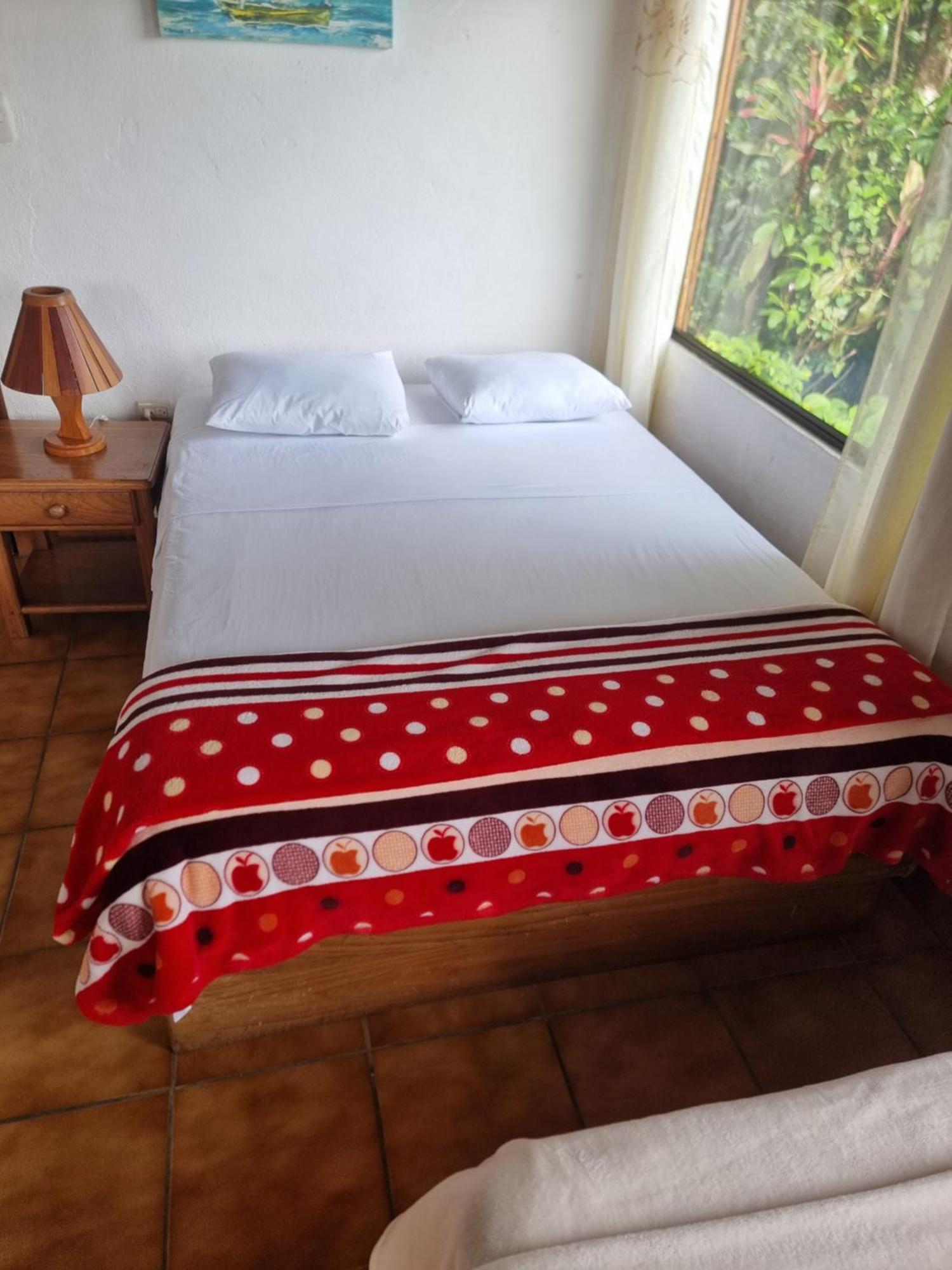 Hotel La Rana De Arenal Nuevo Arenal Eksteriør bilde