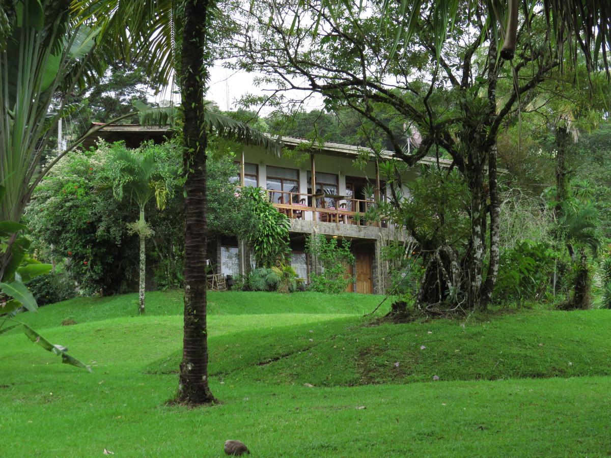 Hotel La Rana De Arenal Nuevo Arenal Eksteriør bilde
