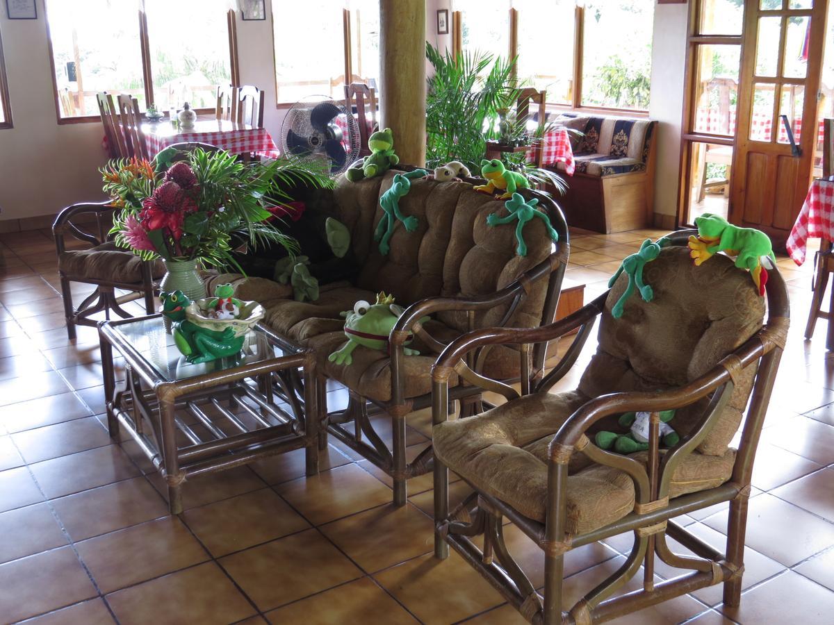 Hotel La Rana De Arenal Nuevo Arenal Eksteriør bilde
