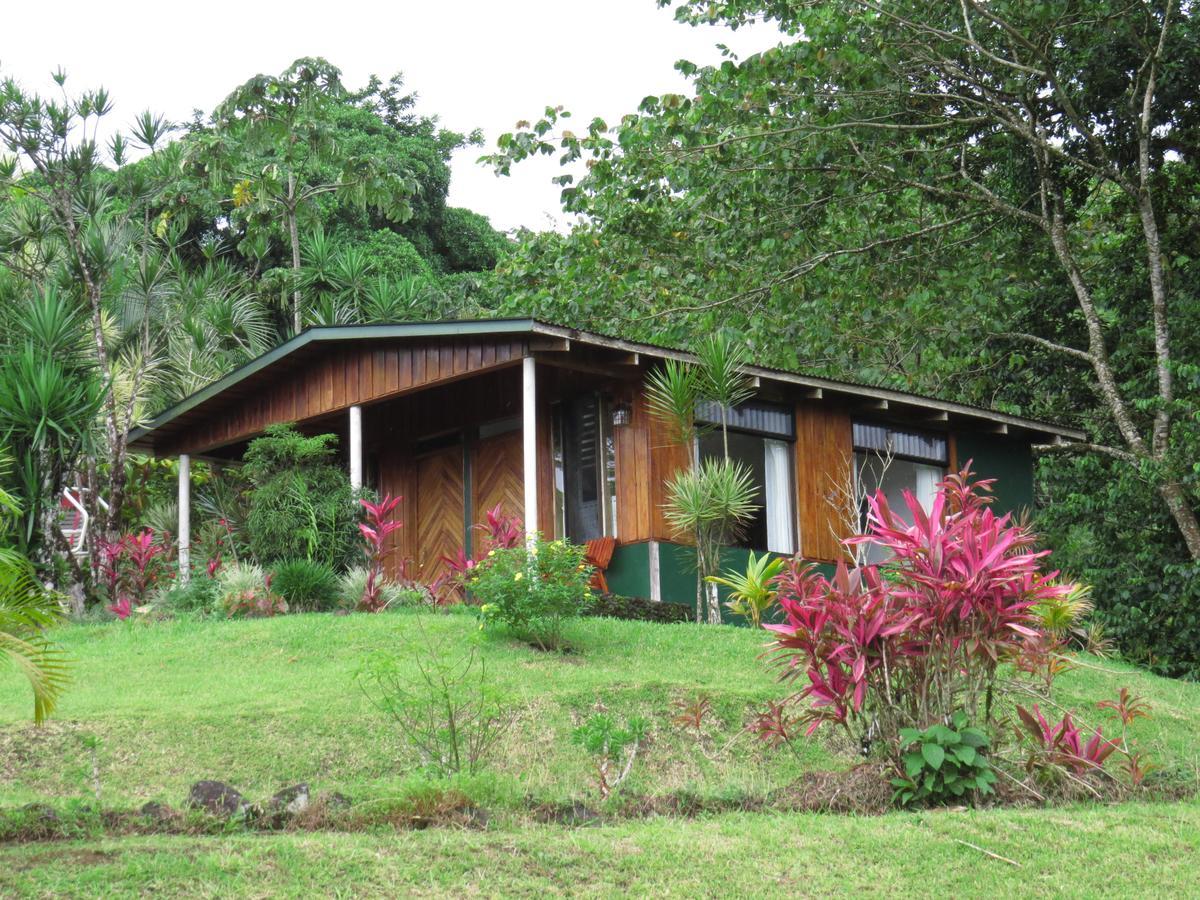 Hotel La Rana De Arenal Nuevo Arenal Eksteriør bilde