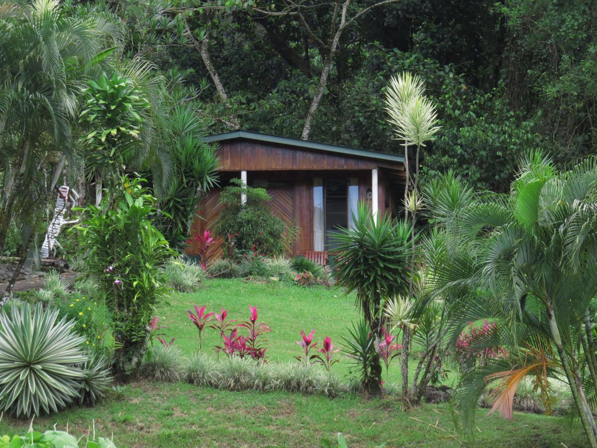 Hotel La Rana De Arenal Nuevo Arenal Eksteriør bilde